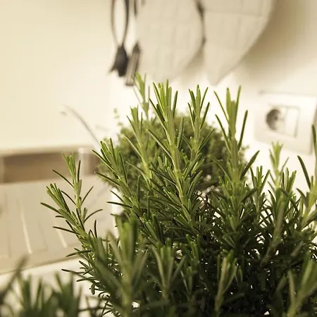 La Cittadella Apartament *