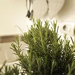La Cittadella Apartamento *