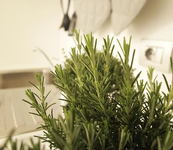 La Cittadella Appartamento *